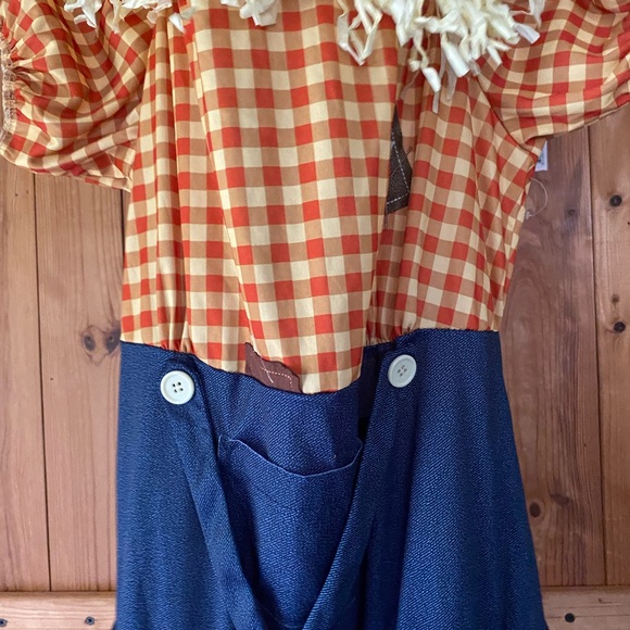 Orange Checkered Scarecrow Costume Dress size 12-14 - Picture 9 of 12